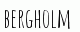 Offertförfrågningar  bergholm