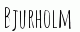Offertförfrågningar  Bjurholm