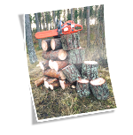 Offertförfrågningar: Trädfällning i Nybro